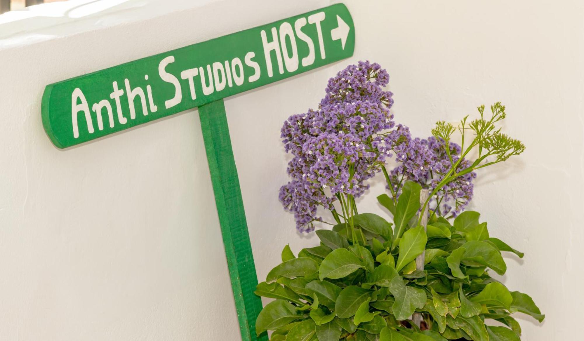 Anthi Studios & Apartments Alykes  Bagian luar foto